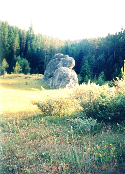 Skalen jertvenik-riba